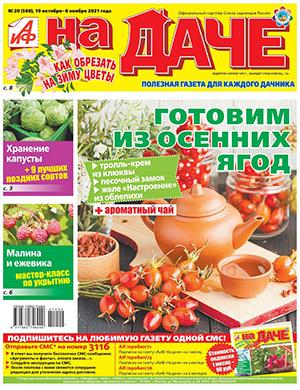 Журнал АиФ На даче выпуск №20 за октябрь-ноябрь 2021 год