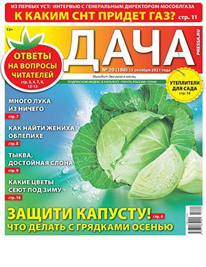 Журнал Дача выпуск №20 за октябрь 2021 год