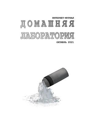 Журнал Домашняя лаборатория выпуск №10 за 2021 год