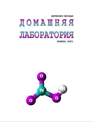 Журнал Домашняя лаборатория выпуск №11 за ноябрь 2021 год