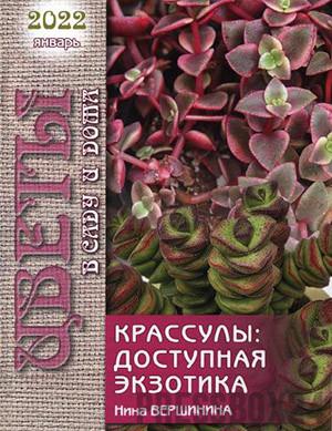 Журнал Цветы в саду и дома выпуск №1 за 2022 год