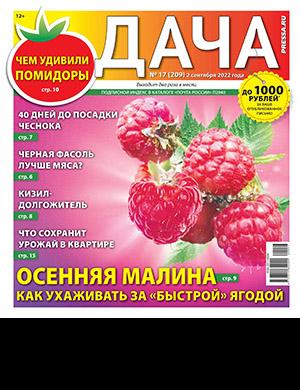 Журнал Дача выпуск №17 за сентябрь 2022 год