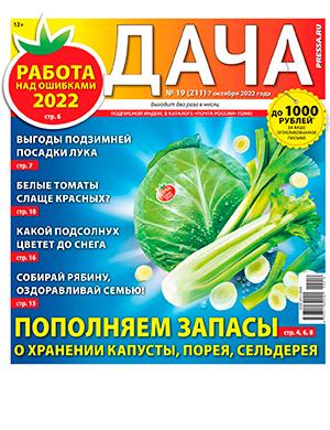 Журнал Дача выпуск №19 за октябрь 2022 год