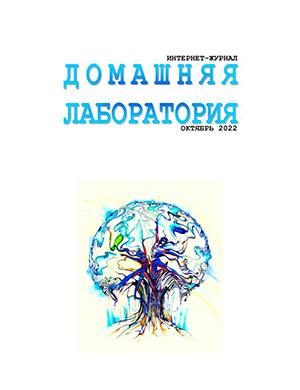 Журнал Домашняя лаборатория выпуск №10 за октябрь 2022 год