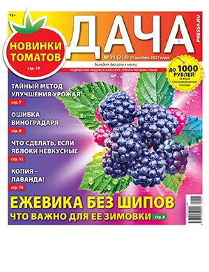 Журнал Дача выпуск №21 за ноябрь 2022 год