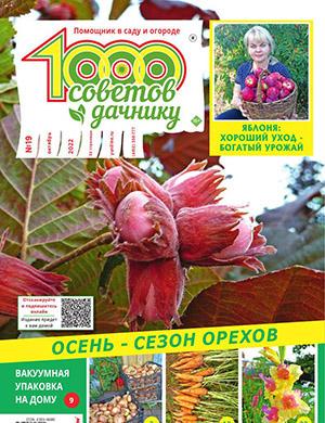 Журнал 1000 советов дачнику выпуск №19 за октябрь 2022 год