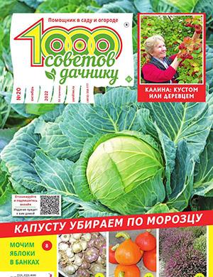 Журнал 1000 советов дачнику выпуск №20 за октябрь 2022 год