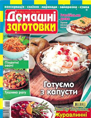 Журнал Домашние заготовки выпуск №10-11 за декабрь 2022 год