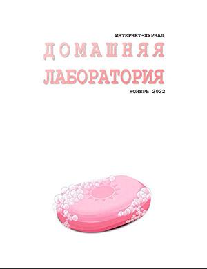 Журнал Домашняя лаборатория выпуск №11 за ноябрь 2022 год