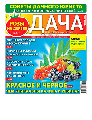 Журнал Дача выпуск №19 за октябрь 2023 год