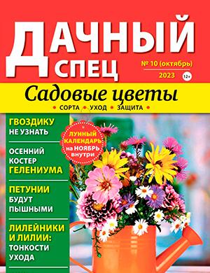 Журнал Дачный спец выпуск №10 за октябрь 2023 год