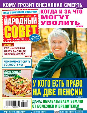 Журнал Народный совет выпуск №42 за октябрь 2023 год