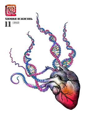 Журнал Химия и жизнь выпуск №11 за ноябрь 2023 год