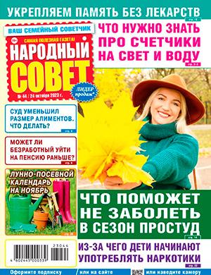 Журнал Народный совет выпуск №44 за октябрь 2023 год