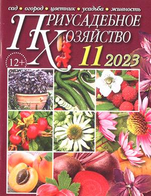 Журнал Приусадебное хозяйство выпуск №11 за ноябрь 2023 год