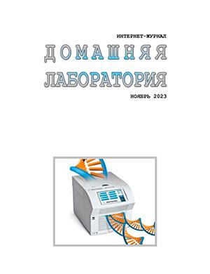 Журнал Домашняя лаборатория выпуск №11 за ноябрь 2023 год