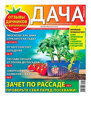 Журнал Дача выпуск №3 за февраль 2024 год