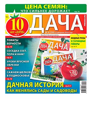 Журнал Дача выпуск №4 за февраль 2024 год