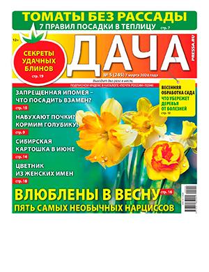 Журнал Дача выпуск №5 за март 2024 год