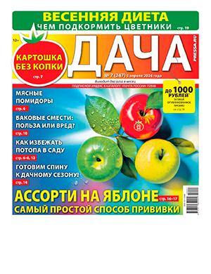 Журнал Дача выпуск №7 за апрель 2024 год