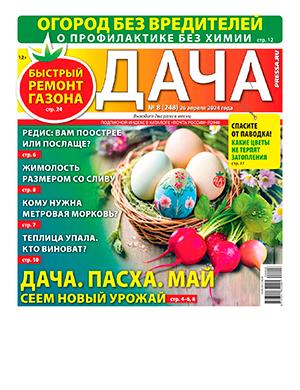 Журнал Дача выпуск №8 за апрель 2024 год