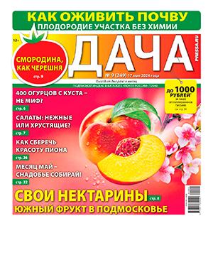 Журнал Дача выпуск №9 за май 2024 год