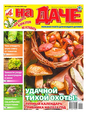 Журнал АиФ На даче выпуск №11 за июнь 2024 год