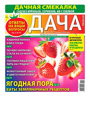 Журнал Дача выпуск №11 за июнь 2024 год