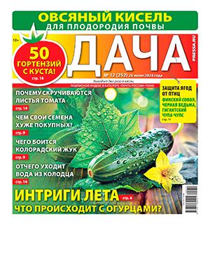 Журнал Дача выпуск №12 за 2024 год