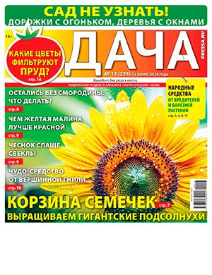 Журнал Дача выпуск №13 за июль 2024 год