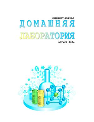 Журнал Домашняя лаборатория выпуск №8 за август 2024 год