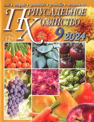 Журнал Приусадебное хозяйство выпуск №9 за сентябрь 2024 год