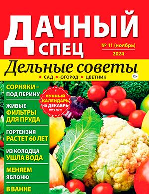 Журнал Дачный спец выпуск №11 за ноябрь 2024 год