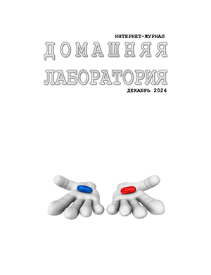 Журнал Домашняя лаборатория выпуск №12 за декабрь 2024 год