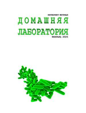 Журнал Домашняя лаборатория выпуск №2 за январь 2025 год