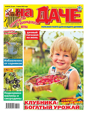 Журнал АиФ На даче выпуск №10 за май-июнь 2025 год