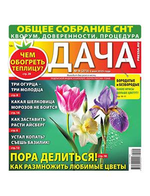 Журнал Дача выпуск №9 за май 2025 год