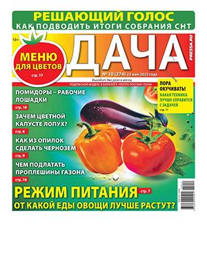 Журнал Дача выпуск №10 за май 2025 год