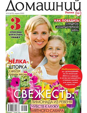 Журнал Домашний выпуск №8 за апрель 2025 год