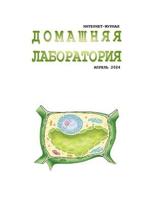 Журнал Домашняя лаборатория выпуск №4 за апрель 2025 год