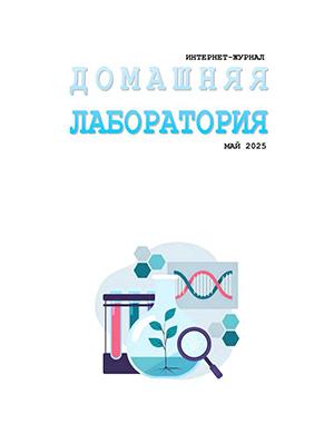 Журнал Домашняя лаборатория выпуск №5 за май 2025 год