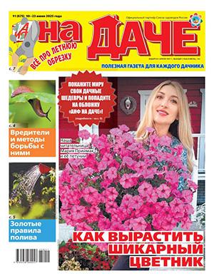 Журнал АиФ На даче выпуск №11 за июнь 2025 год