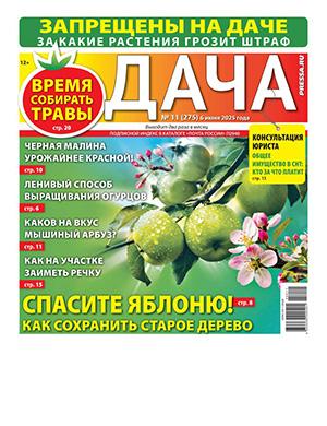 Журнал Дача выпуск №11 за июнь 2025 год