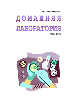 Журнал Домашняя лаборатория выпуск №6 за июнь 2025 год