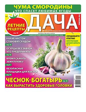 Журнал Дача выпуск №13 за июль 2025 год
