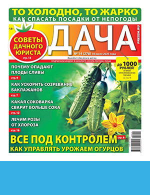 Журнал Дача выпуск №14 за июль 2025 год