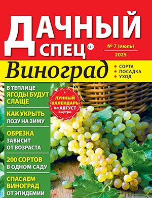 Журнал Дачный спец выпуск №7 за июль 2025 год