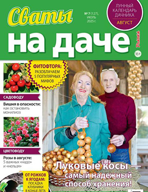 Журнал Сваты на даче выпуск №7 за июль 2025 год