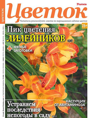 Журнал Цветок выпуск №14 за июль 2025 год