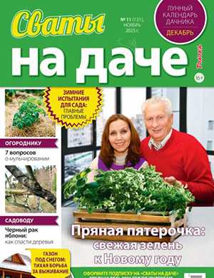 Журнал Сваты на даче выпуск №11 за ноябрь 2025 год